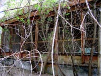 Chornobyl's villages