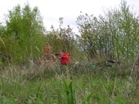Chornobyl's villages
