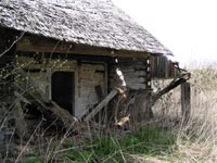 Welyki Minki