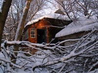Die Zone im Winter