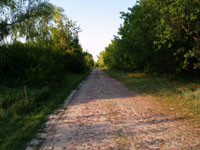 Schurba