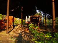 Das Dorf Symowische