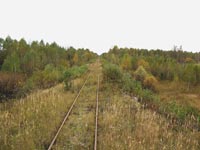 Mit einer Diesellok durch die Zone